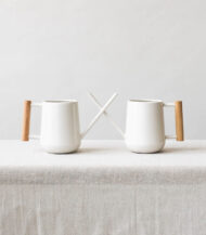 Pilea Peperomioides - Imagen 5