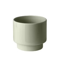 Drakfrukt - Imagen 3